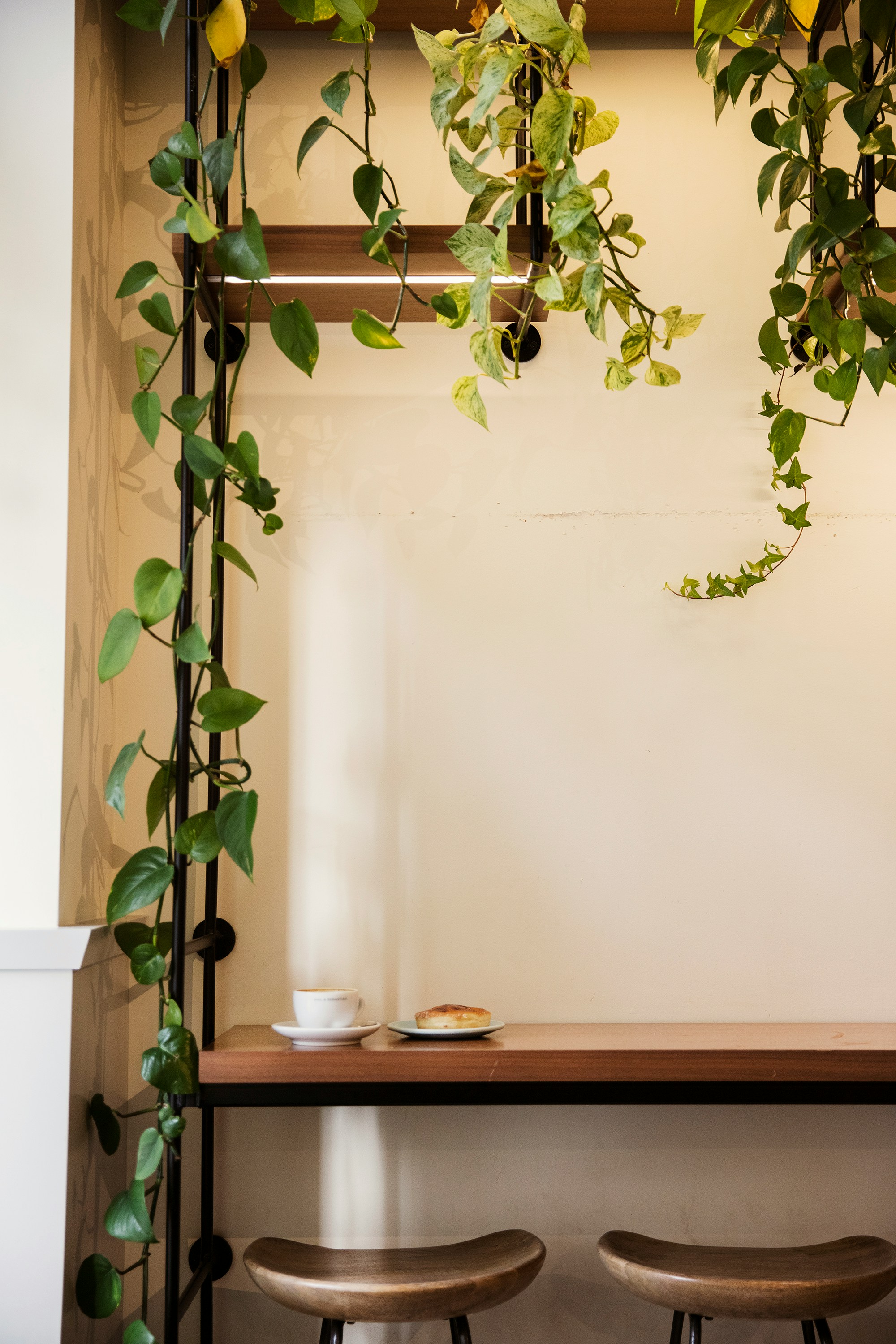 Cozy Calgary café interior serving hazelnut coffee drinks