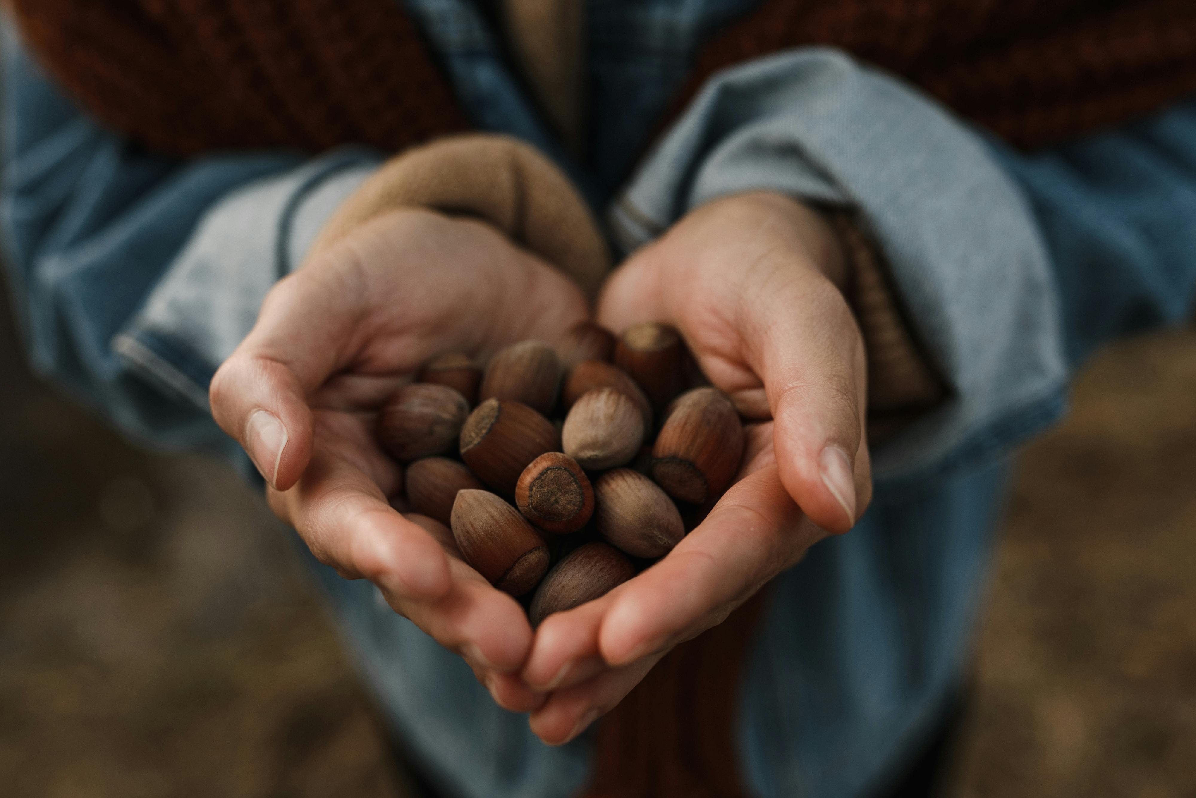 Healthy hazelnuts and coffee on a Calgary winter day